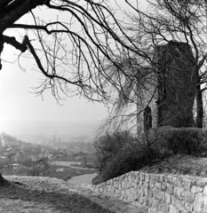 Magyarország, Pécs, Tettye városrész, kilátás a város felé a püspöki nyaraló romjától., 1957, Szilvási hagyaték, képarány: négyzetes, látkép, rom, Fortepan #266424