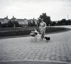 Magyarország, Margitsziget, Budapest, park a mai Centenáriumi emlékmű helyén, háttérben a Palatinus házak., 1934, Szilvási hagyaték, Best of, séta, babakocsi, kutya, Budapest, hárman, Fortepan #266459