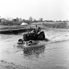 1963, Szilvási hagyaték, traktor, fürdetés, Zetor 25K, Fortepan #266466