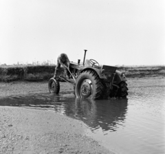 1963, Szilvási hagyaték, Zetor 25K, Fortepan #266469