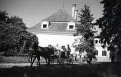 Magyarország, Somogysárd, a felvétel a Somssich-kastély parkjában készült., 1953, Szilvási hagyaték, lovaskocsi, Fortepan #266473