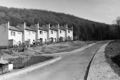 Hungary, (ekkor Ózd része, ma önálló), Görgei utca, lakótelep., 1959, Ábrahám Katalin és László, blocks, Fortepan #266601