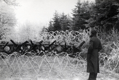 1944, Mihályi Balázs, holocaust, barb wire, pine forest, anti-tank obstacles, Fortepan #266748