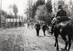 1944, Mihályi Balázs, wood, rider, soldier, horse, Fortepan #266751