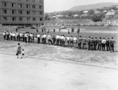 Hungary, Pécs, sportpálya a Szántó Kovács János utca és a mai Stadion utca között., 1964, Pluhár Gábor, Fortepan #267051