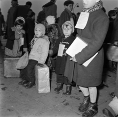 Hollandia, Leiden, Leiden Centraal vasútállomás, a felvétel 1957. február 5-én, a magyar nenekült gyermekek megérkezésekor készült., 1957, Nationaal Archief, képarány: négyzetes, gyerekek, azonosító, Fortepan #267154