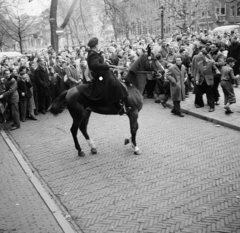 Hollandia, Amszterdam, Keizersgracht, tüntetők a De Waarheid / Az Igazság szerkesztőségénél 1956. novemben 5-én., 1956, Nationaal Archief, fiatalság, képarány: négyzetes, egyenruha, csoportosulás, lovas, Fortepan #267165