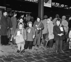 Hollandia, Leiden, Leiden Centraal vasútállomás, a felvétel 1957. február 5-én, a magyar nenekült gyermekek megérkezésekor készült., 1957, Nationaal Archief, gyerekek, azonosító, bőrönd, Fortepan #267169