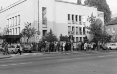 Hungary, Budapest XI., Zsombolyai utca 6. - Bocskai út sarok, a TIT Természettudományi Stúdió (korábban lágymányosi zsinagóga) épülete előtt a macskakiállítás megtekintésére várakozók sora látható., 1982, Szentkuthy Ibolya, number plate, cat show, standing in line, Budapest, Fortepan #267329