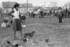 1974, Szentkuthy Ibolya, portrait, Dachshund, dog, Fortepan #267446