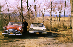 1955, Szentkuthy Ibolya, colorful, automobile, car park, rest area, Fortepan #267511