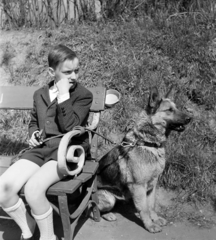 1959, Szentkuthy Ibolya, dog, portrait, Fortepan #267554