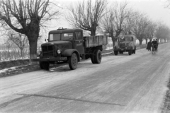 1955, Bolvári László, országút, járműroncs, teherautó, fasor, baleset, postajármű, Phänomen Granit, Csepel B-350/D-350, Fortepan #267752