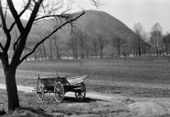 Magyarország, Kisoroszi, kilátás a Széchenyi út végéről, szemben a Kis-Villám., 1972, Dorics István, szekér, Fortepan #267861