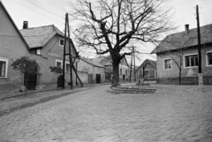 Magyarország, Szentendre, Rab Ráby tér, balra Rab Ráby háza., 1972, Dorics István, Fortepan #267875