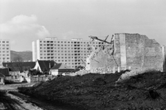 Magyarország, Óbuda, Budapest III., a Zichy utca, szemben a Mókus utca, háttérben a Kiskorona (Magyar Lajos) utca 14-20. számú panelház., 1976, Dorics István, Budapest, Fortepan #267917