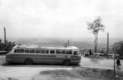 Magyarország, Pécs, kilátása a Kikelet szállótól a város felé., 1963, Gárdos Katalin, Ikarus 55, autóbusz, Ikarus-márka, Fortepan #268075