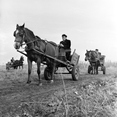 Magyarország, Csemő, a település postásai lovas kordéval viszik a postai küldeményeket a tanyákra., 1970, Gárdos Katalin, Best of, kordé, postás, lovaskocsi, Fortepan #268117