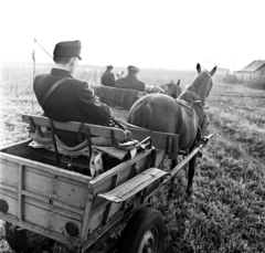 Magyarország, Csemő, a település postásai lovas kordéval viszik a postai küldeményeket a tanyákra., 1970, Gárdos Katalin, egyenruha, postás, lovaskocsi, kordé, Fortepan #268118