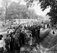 Magyarország, Gödöllő, Szabadság út, az Agrártudományi Egyetem vietnámi hallgatói a május 1-i felvonuláson., 1971, Gárdos Katalin, Fortepan #268233