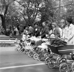 Magyarország, Gödöllő, Szabadság út, kismamák és gyermekeik a május 1-i felvonuláson., 1971, Gárdos Katalin, babakocsi, anyaság, Fortepan #268242