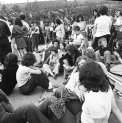 Hungary, Vác, Schuszter Konstantin (Konstantin) tér, a fasizmus feletti győzelem 30. évfordulójának tiszteletére rendezett nagygyűlésen résztvevő fiatalok, 1975. május 11-én., 1975, Gárdos Katalin, Fortepan #268262