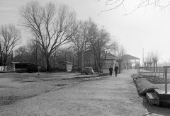 Hungary,Lake Balaton, Siófok, hajóállomás., 1955, UVATERV, boat station, Fortepan #2683