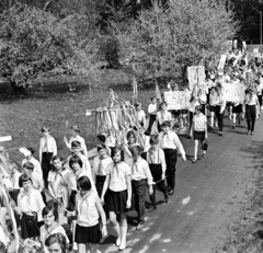 Magyarország, Pap-sziget, Szentendre, május 1-i felvonulás., 1971, Gárdos Katalin, Fortepan #268314