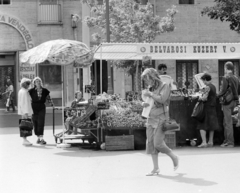 Hungary, Budapest V., a Belvárosi Közért Vállalt zöldséges standja az ekkor névtelen, ma Podmaniczky Frigyes téren. Balra a Vadásztanya vendéglő részlete látható., 1983, Glósz András, price tag, greengrocer, Budapest, Fortepan #268430