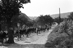 Magyarország, Kőszeg, Hermina utca, háttérben a Szabó-hegy., 1958, Baráth Endre, gyerekek, földút, Fortepan #26948