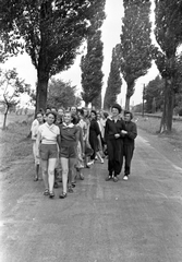 Magyarország, Balatonberény, MÁV nevelőintézetek nyári gyermeküdültetése., 1956, Baráth Endre, lányok, gyerekek, jegenyefasor, Fortepan #26952