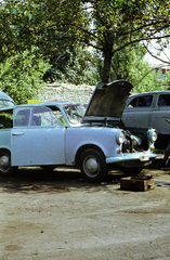 1971, Ladinek Viktor, Trabant 601, színes, Fortepan #269640