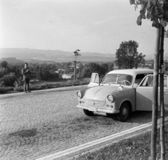 1963, Ladinek Viktor, Trabant 500, rendszám, Fortepan #269739