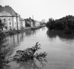 Magyarország, Szeged,Újszeged, Alsó Kikötő sor, balra a Vakok Intézete. A felvétel az 1970. tavaszi árvíz idején készült., 1970, Ladinek Viktor, Fortepan #269748