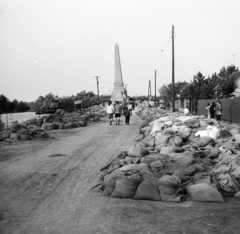 Magyarország, Szeged,Újszeged, Felső Kikötő sor, háttérben a Bertalan Emlékmű. A felvétel az 1970. tavaszi árvíz idején készült., 1970, Ladinek Viktor, homokzsák, Fortepan #269750