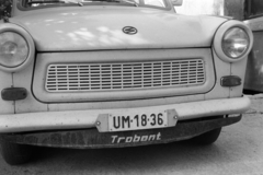 1974, Leskó Imre, number plate, Fortepan #269800