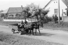 Hungary, Tarcal, 1974, Leskó Imre, Horse-drawn carriage, Fortepan #269801