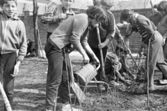 Hungary, Tarcal, 1974, Leskó Imre, gardening, planting trees, student, Fortepan #269811