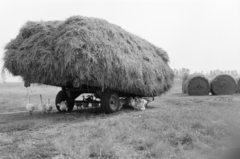 Hungary, Tarcal, a felvétel a település határában készült., 1975, Leskó Imre, poultry, hay, Fortepan #269870