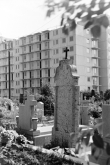 Hungary, Miskolc, Mindszenti katolikus temető, háttérben az építés alatt álló Dankó Pista utca 13-27. számú háztömb., 1979, Leskó Imre, tombstone, concrete block of flats, Fortepan #269916