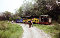 1974, Szilvási hagyaték, colorful, narrow-gauge railway, Fortepan #270039