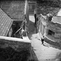 Hungary, Szentendre, a Várdombról a Fő (Marx) térre vezető Hild (ekkor névtelen) lépcső., 1958, Vozárik Edit, roof, flight of stairs, Fortepan #270145