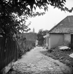 Hungary, Szentendre, Munkácsy utca a Malom utca felé nézve, a háztető felett a Blagovesztenszka görögkeleti templom tornya látszik., 1958, Vozárik Edit, dirt road, street view, Fortepan #270147