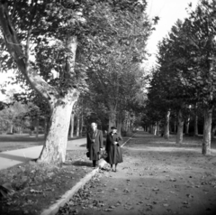 Hungary, Szeged, Erzsébet Liget (Népkert)., 1958, Vozárik Edit, camera, man and woman, briefcase, platan tree, fallen leaves, walkway, Fortepan #270155