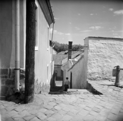 Hungary, Szentendre, Ferenczy Károly köz, sikátor az Alkotmány utca és Bogdányi út (Vöröshadsereg utca) között., 1958, Vozárik Edit, alley, Fortepan #270213