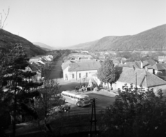 1962, Vozárik Edit, bus, roof, Fortepan #270223