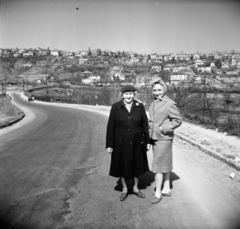 Hungary, Budapest XI., Törökbálinti út, a felvétel az Ördögszikla köz közelében készült., 1962, Vozárik Edit, Budapest, Fortepan #270226