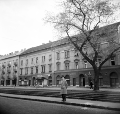 Hungary, Budapest XIII., Váci út, szemben az 53., 51/b és 51/a számú ház., 1964, Vozárik Edit, Budapest, tram stop, Fortepan #270252