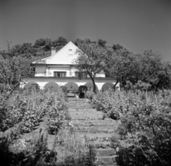 Magyarország,Balaton, Szigliget, Kamonkői utca 40., egykor Farkas István festőművész villája, ekkor SZOT - üdülő., 1968, Vozárik Edit, Balaton, Fortepan #270332