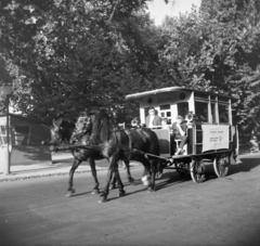 1968, Vozárik Edit, Fortepan #270338